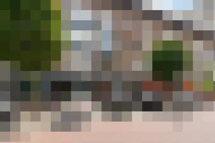 Dr H. Colijnlaan 295 Rijswijk thumbnail 8