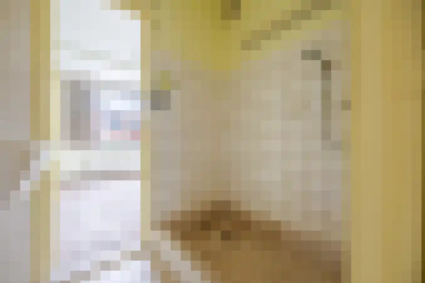 Dr H. Colijnlaan 299 Rijswijk thumbnail 25