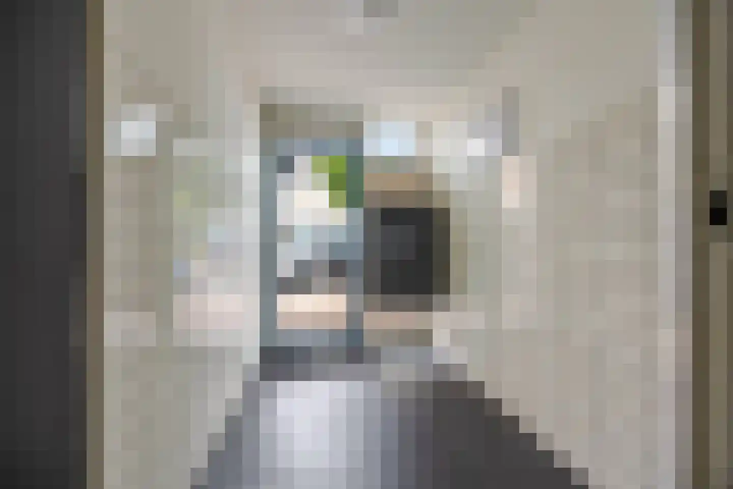 Dr H. Colijnlaan 299 Rijswijk thumbnail 31