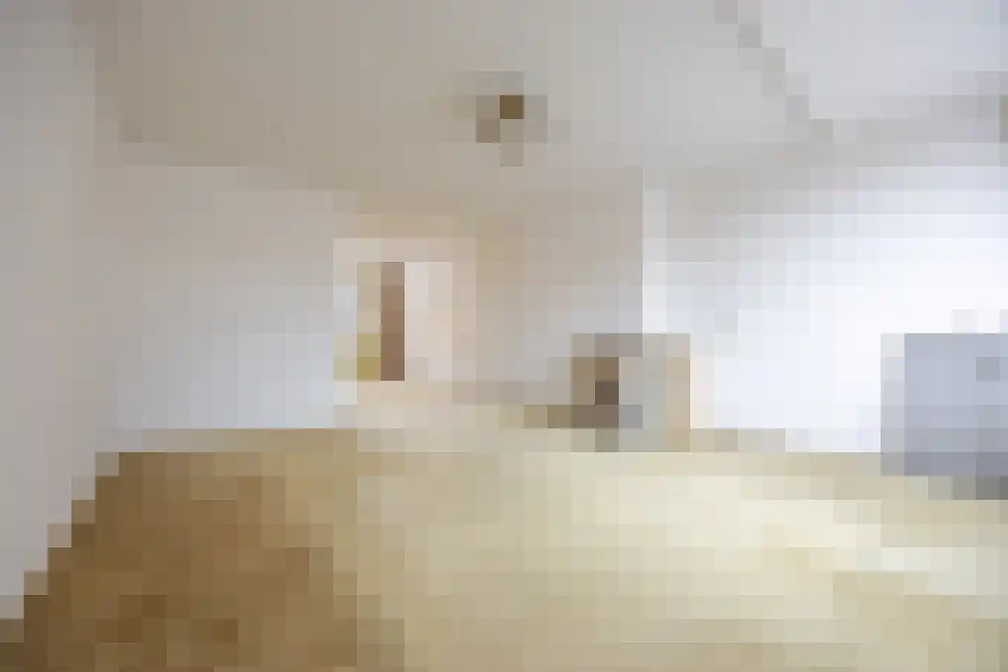 Dr H. Colijnlaan 299 Rijswijk thumbnail 9