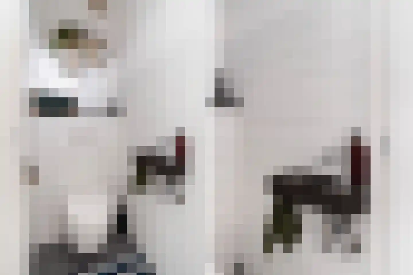 Dr H. Colijnlaan 301 Rijswijk thumbnail 10