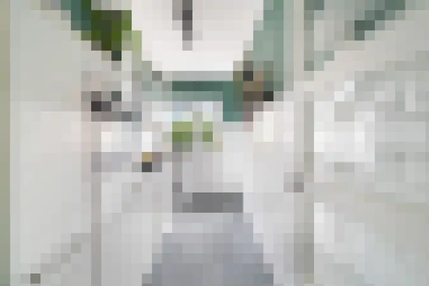 Dr H. Colijnlaan 301 Rijswijk thumbnail 26