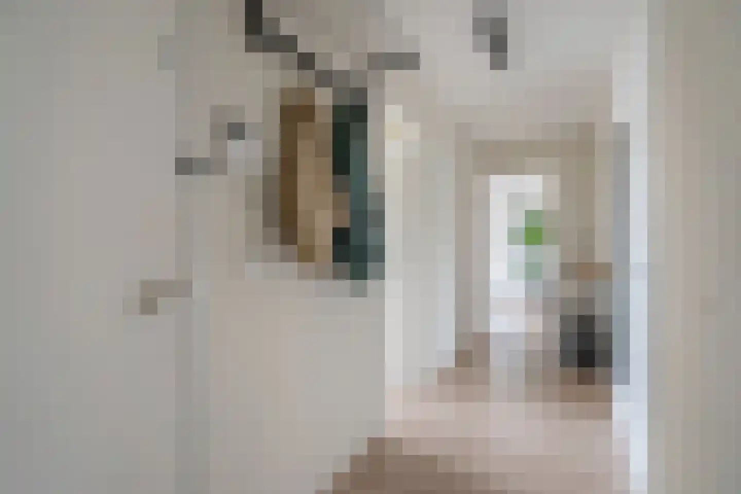 Dr H. Colijnlaan 315 Rijswijk thumbnail 6