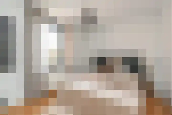 Dr H. Colijnlaan 328 Rijswijk thumbnail 26