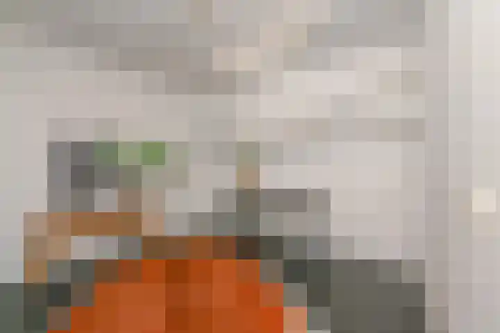 Dr H. Colijnlaan 328 Rijswijk thumbnail 29