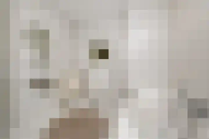 Dr H. Colijnlaan 328 Rijswijk thumbnail 32