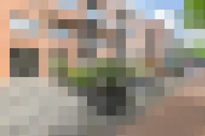 Dr H. Colijnlaan 328 Rijswijk thumbnail 5