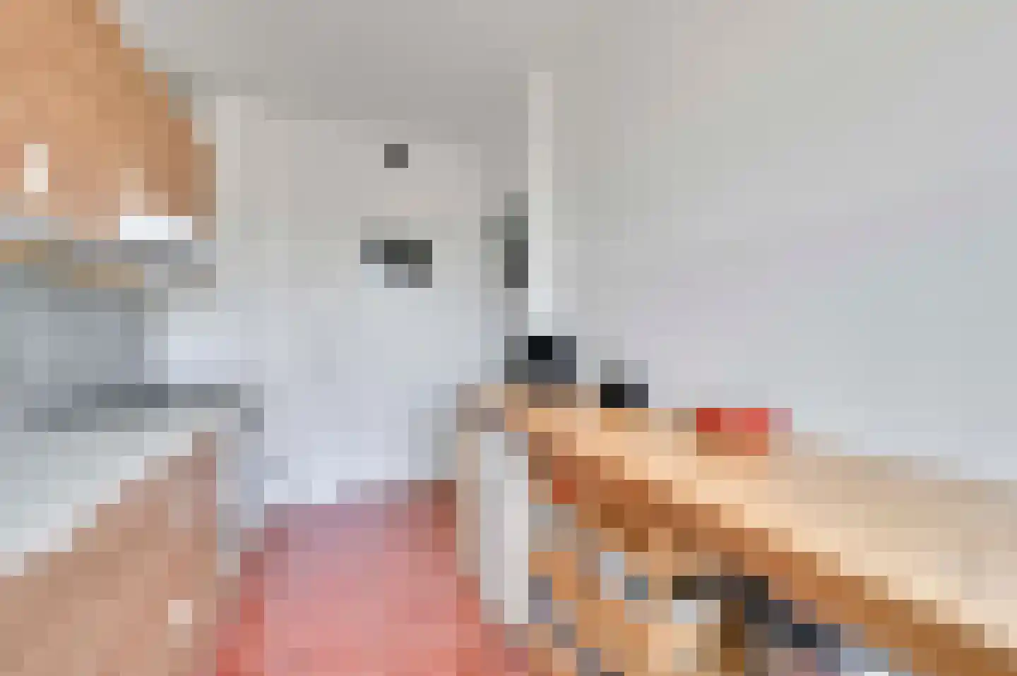 Dr H. Colijnlaan 34 Rijswijk thumbnail 9