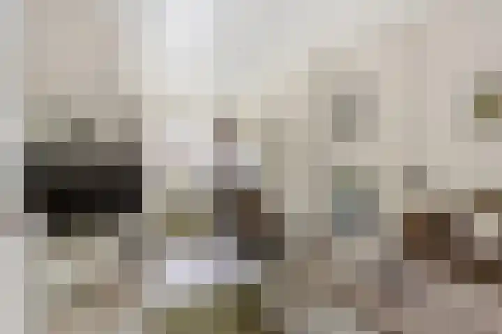 Dr H. Colijnlaan 35 Rijswijk thumbnail 11