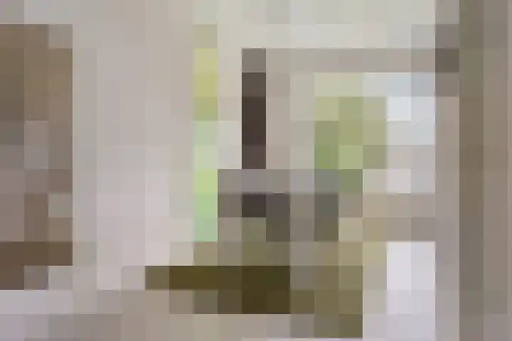 Dr H. Colijnlaan 35 Rijswijk thumbnail 13