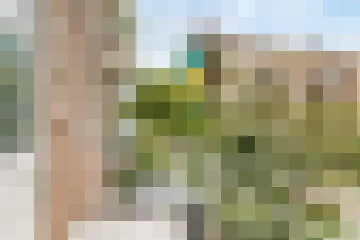 Dr H. Colijnlaan 35 Rijswijk thumbnail 16