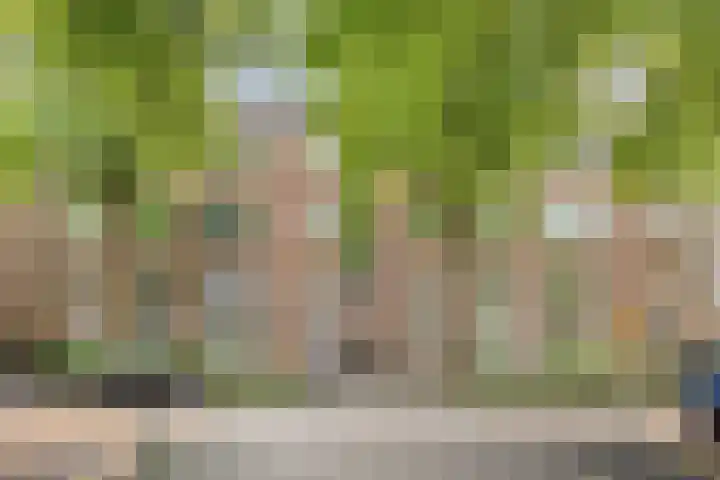 Dr H. Colijnlaan 35 Rijswijk thumbnail 22