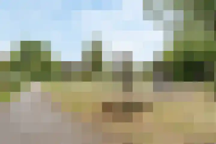 Dr H. Colijnlaan 35 Rijswijk thumbnail 27