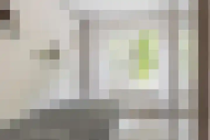Dr H. Colijnlaan 35 Rijswijk thumbnail 5