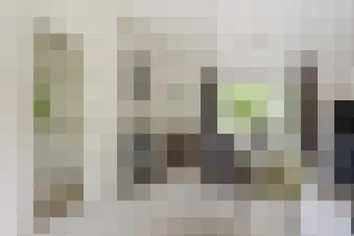 Dr H. Colijnlaan 35 Rijswijk thumbnail 9
