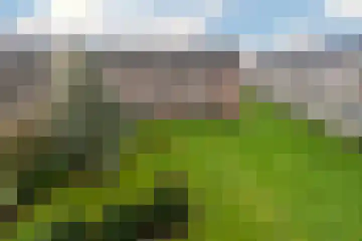 Dr H. Colijnlaan 36 Rijswijk thumbnail 24