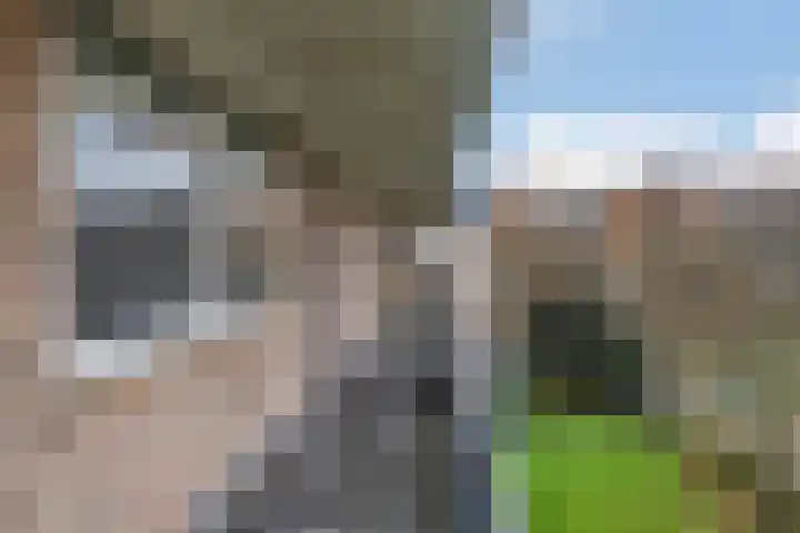 Dr H. Colijnlaan 36 Rijswijk thumbnail 35