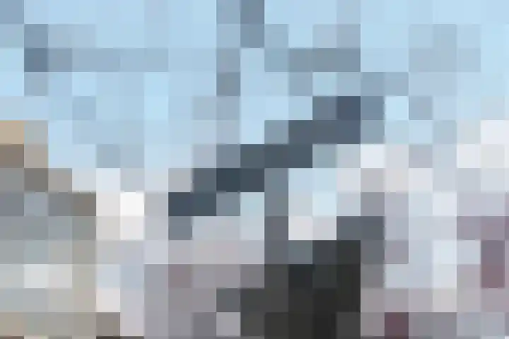 Dr H. Colijnlaan 36 Rijswijk thumbnail 40