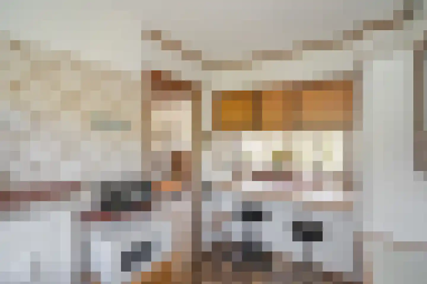 Dr H. Colijnlaan 4 F030 Rijswijk thumbnail 12