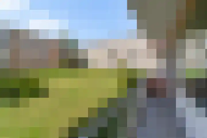 Dr H. Colijnlaan 56 Rijswijk thumbnail 14