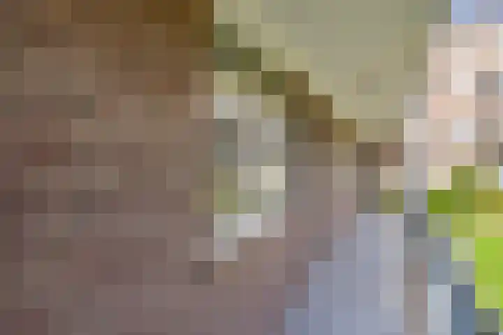 Dr H. Colijnlaan 56 Rijswijk thumbnail 6