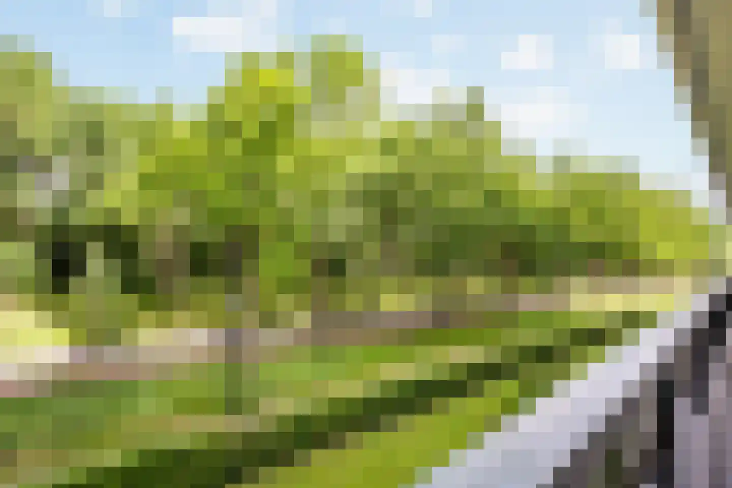Dr H. Colijnlaan 6 F110 Rijswijk thumbnail 14