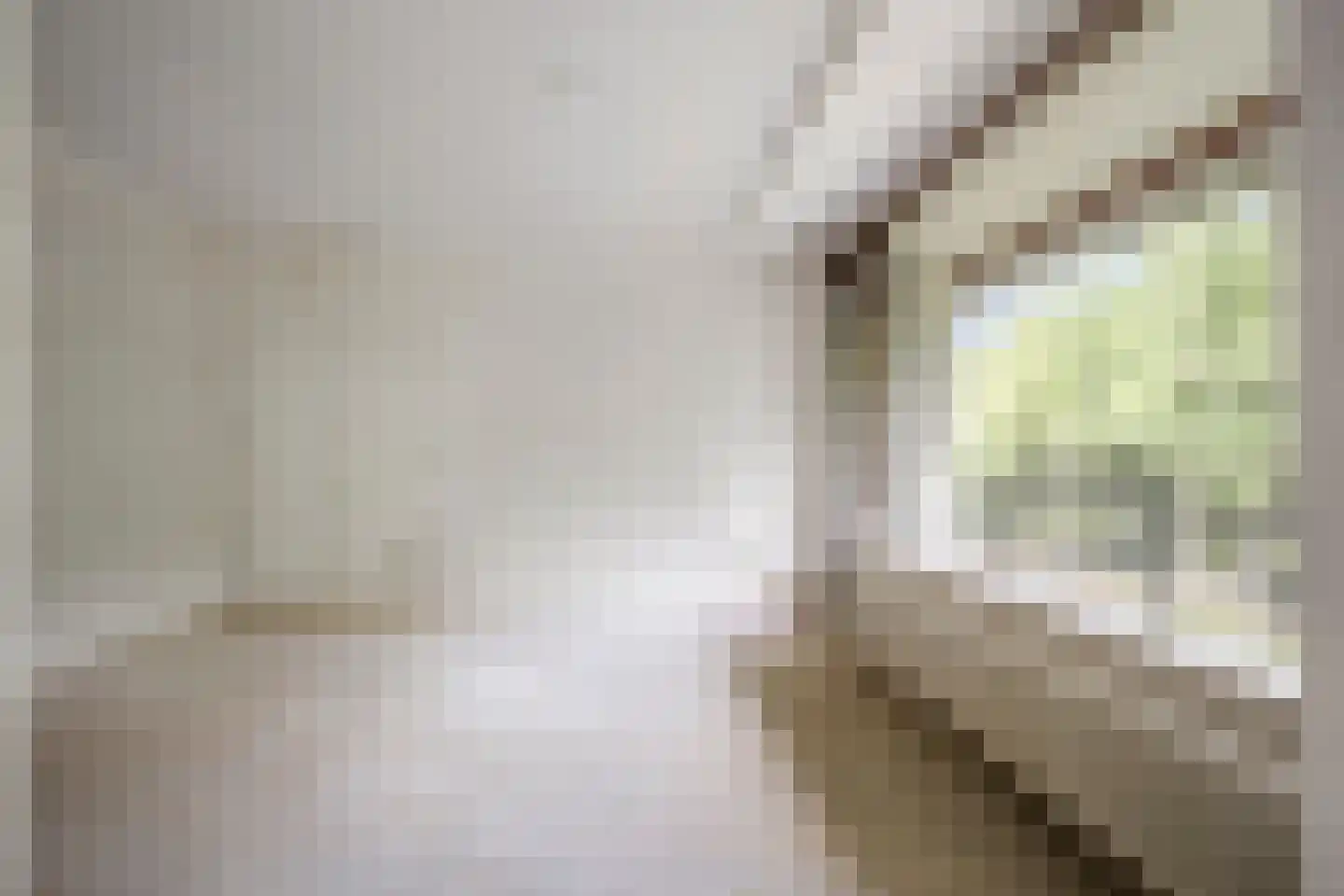 Dr H. Colijnlaan 6 F110 Rijswijk thumbnail 7