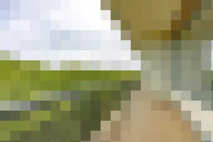 Dr H. Colijnlaan 6 F125 Rijswijk thumbnail 13