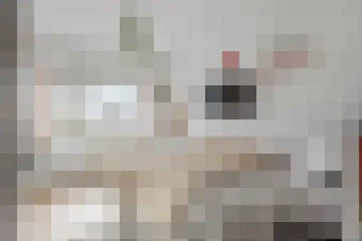 Dr H. Colijnlaan 6 F125 Rijswijk thumbnail 14
