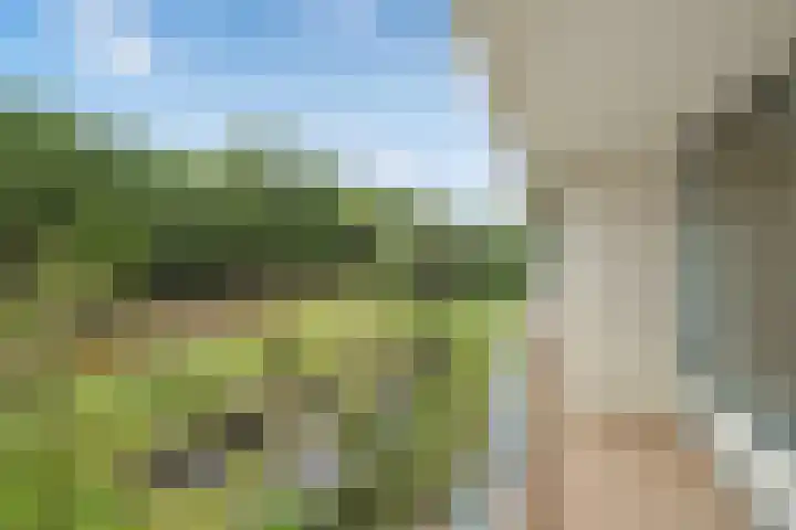 Dr H. Colijnlaan 6 F125 Rijswijk thumbnail 25
