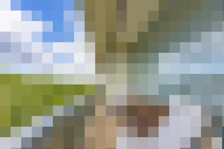 Dr H. Colijnlaan 6 F125 Rijswijk thumbnail 25
