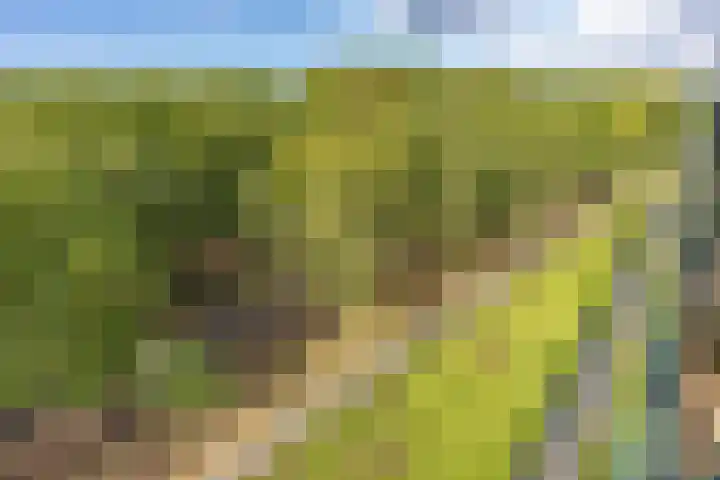 Dr H. Colijnlaan 6 F125 Rijswijk thumbnail 27