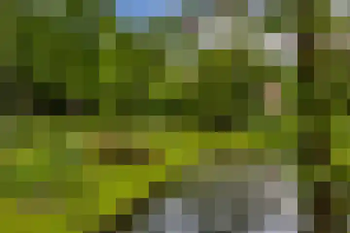 Dr H. Colijnlaan 6 F125 Rijswijk thumbnail 29