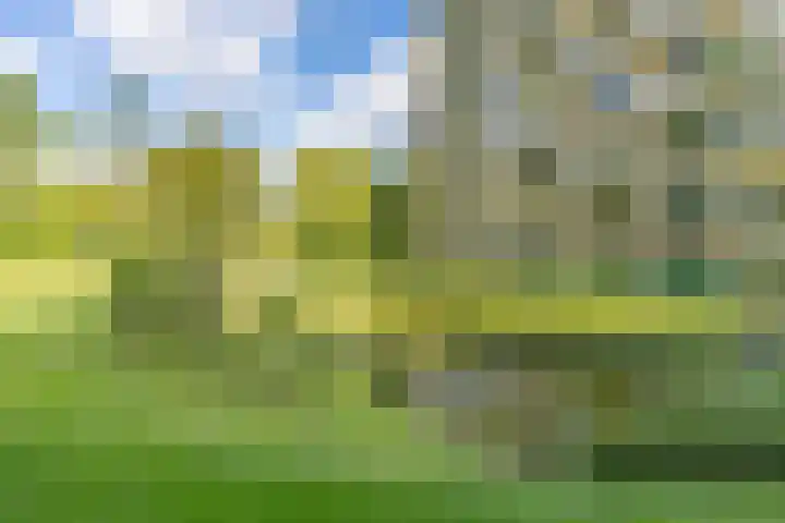 Dr H. Colijnlaan 6 F125 Rijswijk thumbnail 30