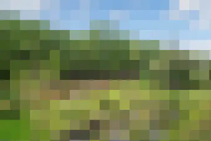 Dr H. Colijnlaan 6 F125 Rijswijk thumbnail 32