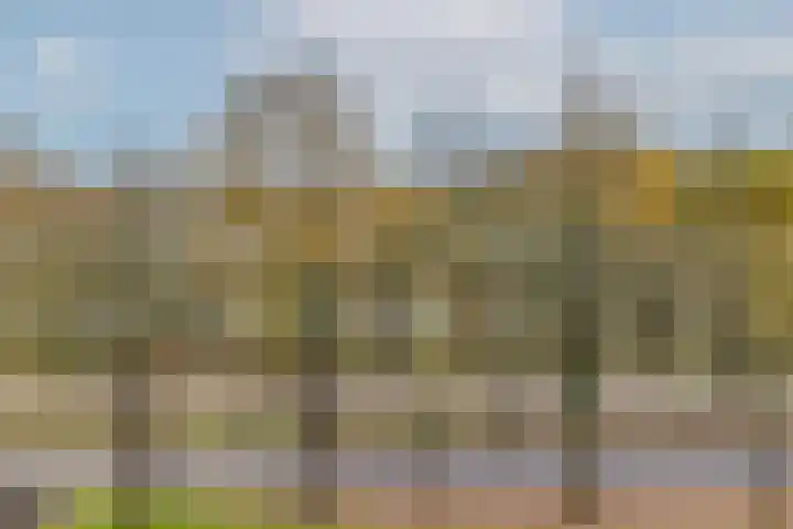 Dr H. Colijnlaan 6 F125 Rijswijk thumbnail 36