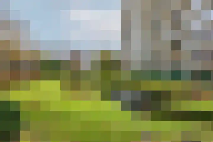 Dr H. Colijnlaan 6 F125 Rijswijk thumbnail 42