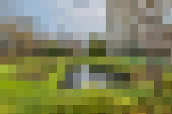 Dr H. Colijnlaan 6 F125 Rijswijk thumbnail 43