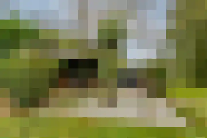 Dr H. Colijnlaan 6 F125 Rijswijk thumbnail 44
