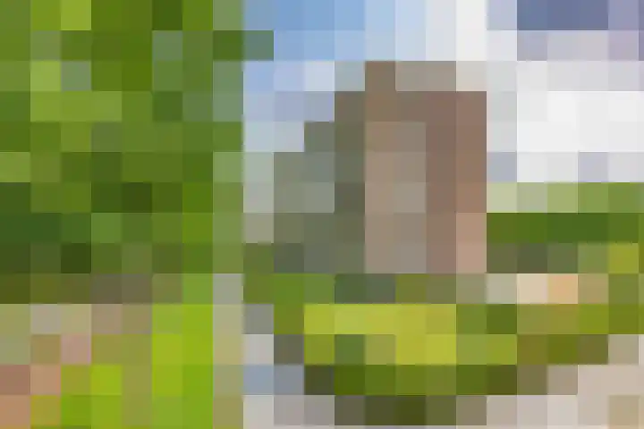 Dr H. Colijnlaan 6 F125 Rijswijk thumbnail 49