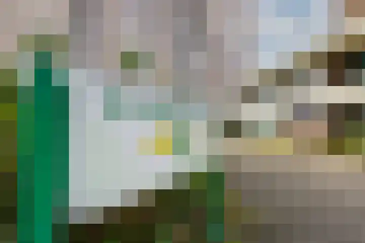 Dr H. Colijnlaan 6 F125 Rijswijk thumbnail 5