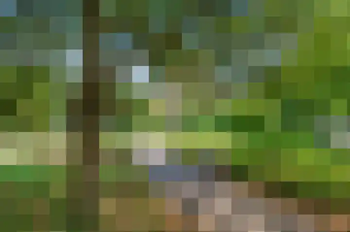 Dr H. Colijnlaan 6 F125 Rijswijk thumbnail 50