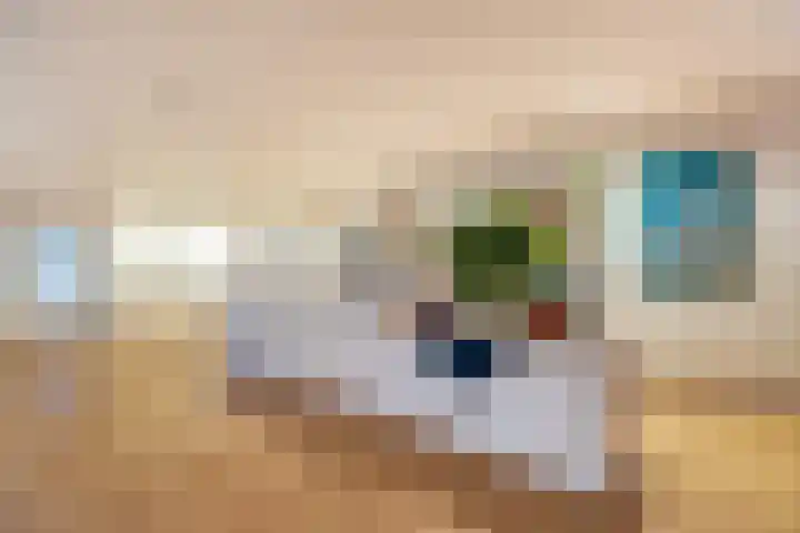Dr H. Colijnlaan 6 F125 Rijswijk thumbnail 7