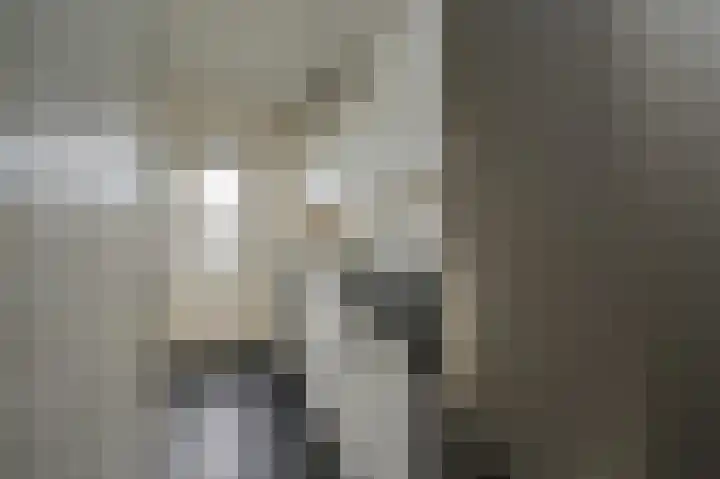 Dr H. Colijnlaan 61 Rijswijk thumbnail 15