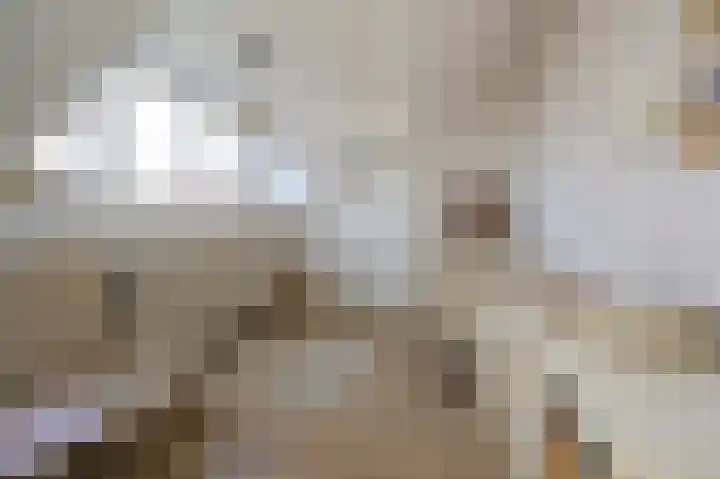 Dr H. Colijnlaan 61 Rijswijk thumbnail 29