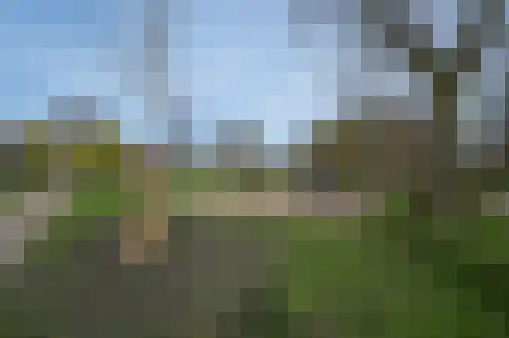 Dr H. Colijnlaan 61 Rijswijk thumbnail 37