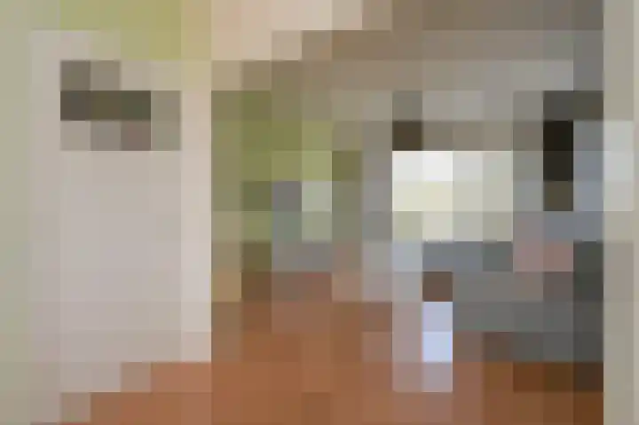 Dr H. Colijnlaan 61 Rijswijk thumbnail 8