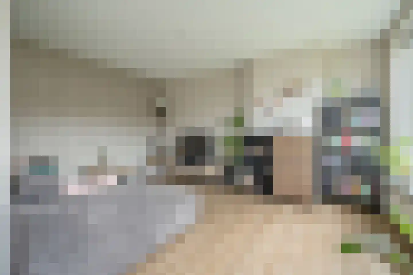 Dr H. Colijnlaan 72 Rijswijk thumbnail 10
