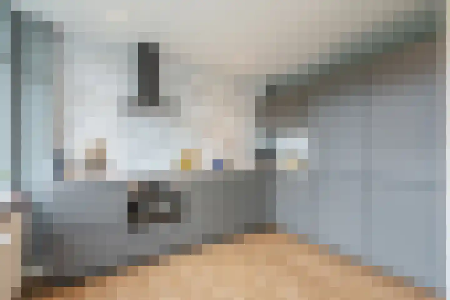 Dr H. Colijnlaan 72 Rijswijk thumbnail 4