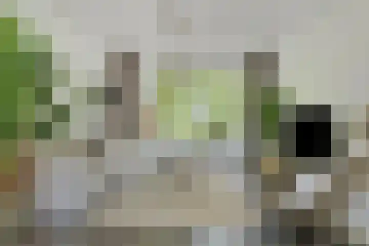 Dr H. Colijnlaan 75 Rijswijk thumbnail 12